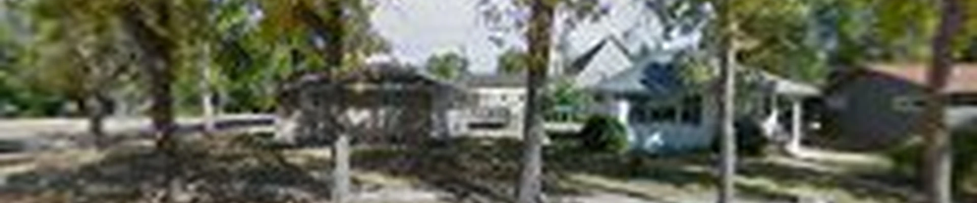 LeVay's Tree Removal Service