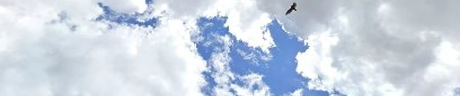 &