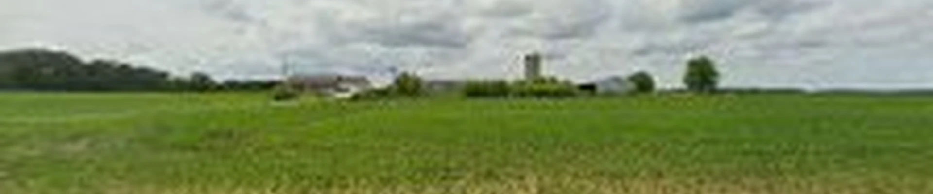 Greppi Landscape Construction, L.L.C.