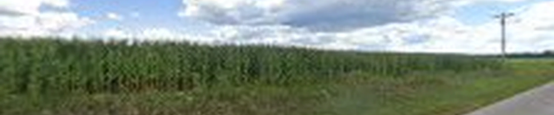 Sunnyridge Farm, LLC