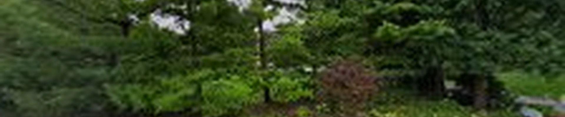 Golden Tree & Landscape INC.