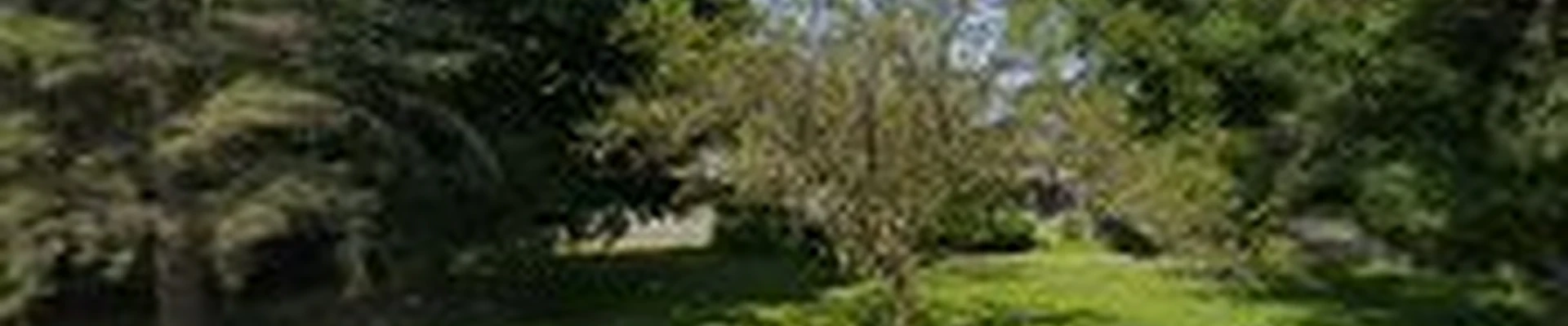 JM Outdoor Services
