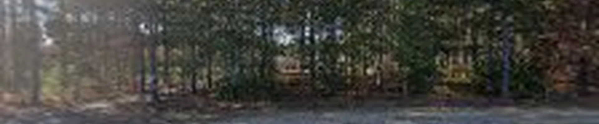 Lakeshore Tree Services & Landscaping
