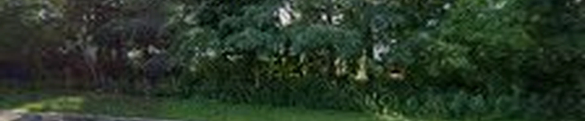 Great Oaks Landscape Associates, Inc.