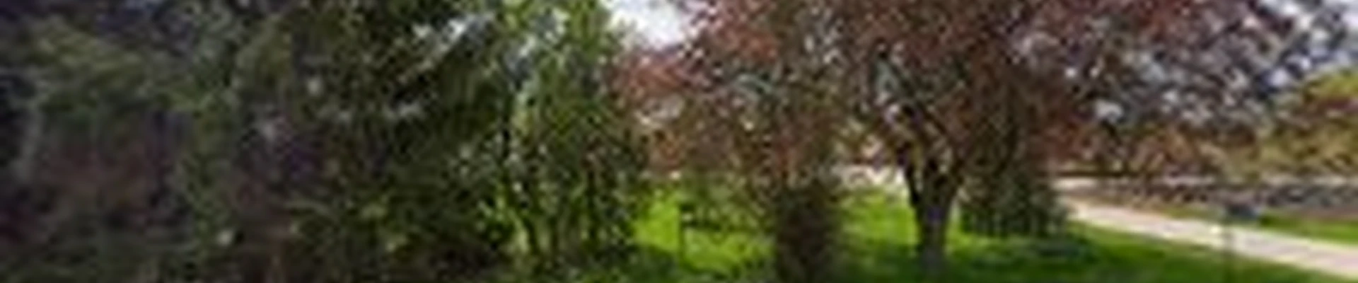 Blackwolf Nursery