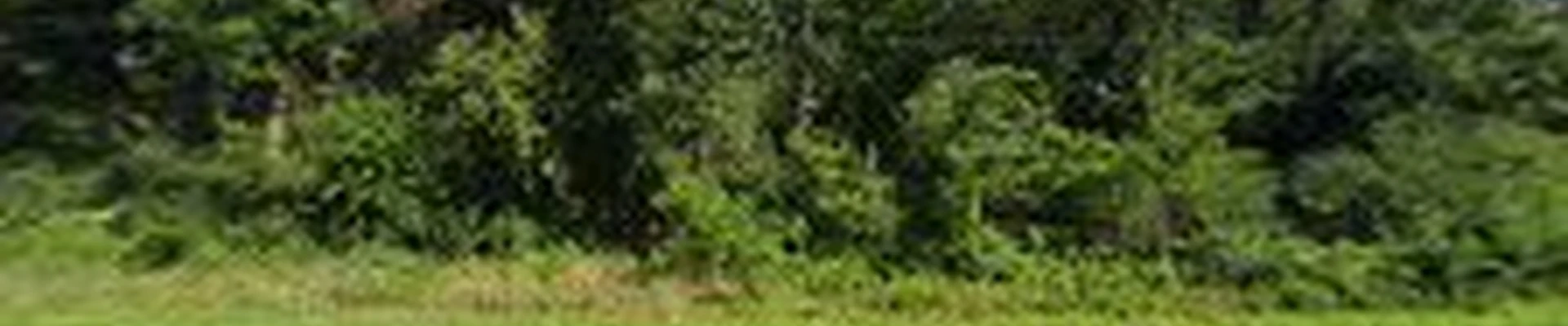 ACTS Tree Care & Preservation LLC