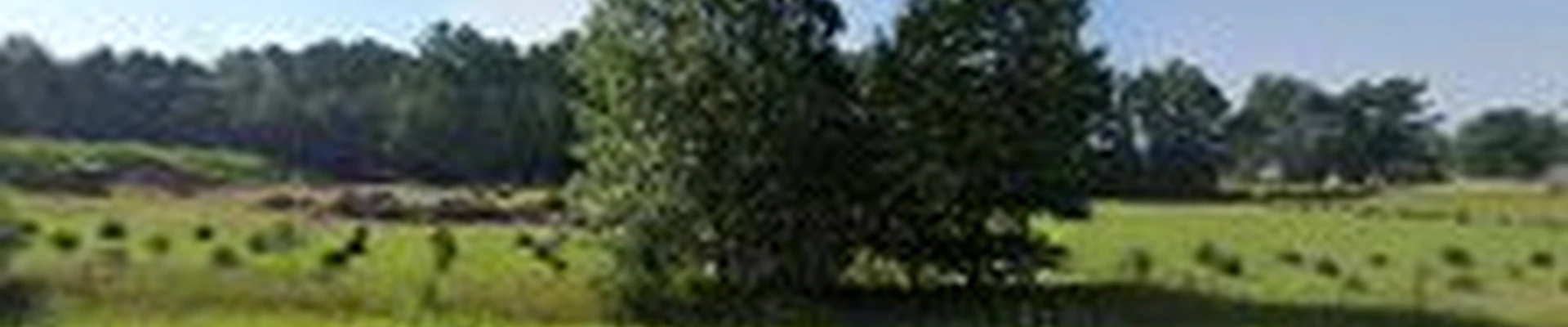 Al's Extreme Tree llc