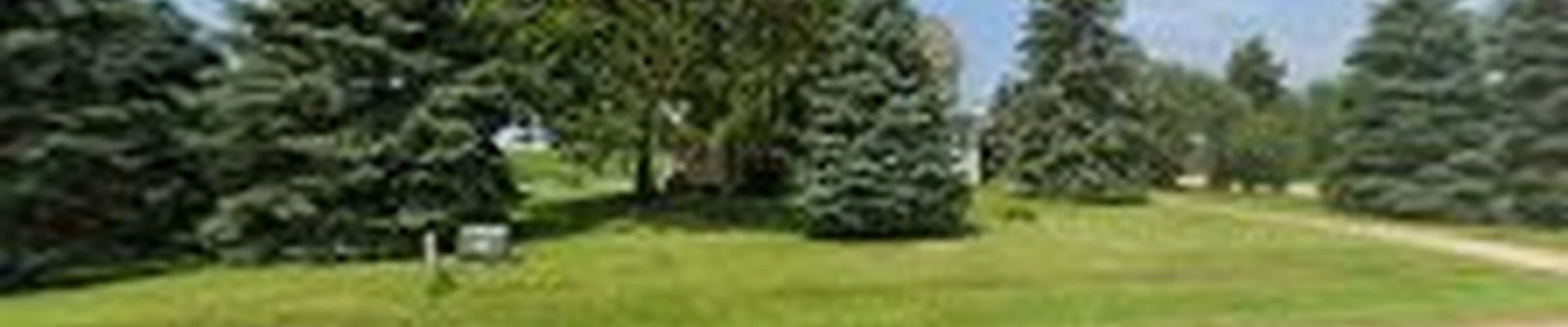 Urban Yeti Tree Service