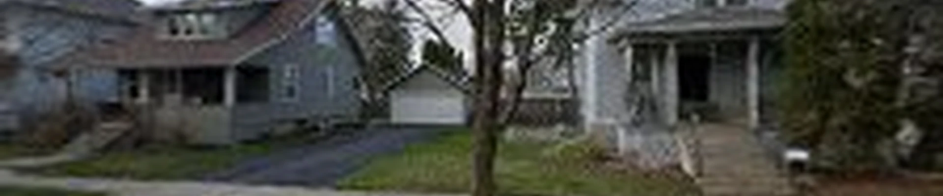 Miller Tree Service