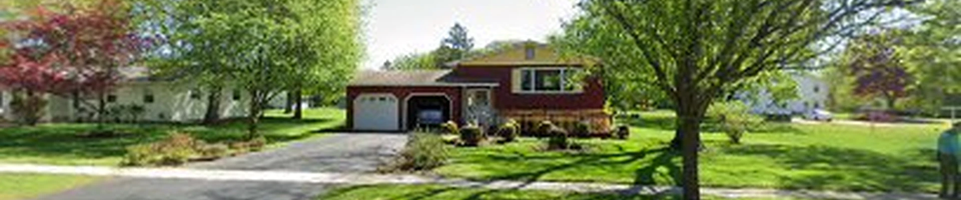 Rosendale Tree Service