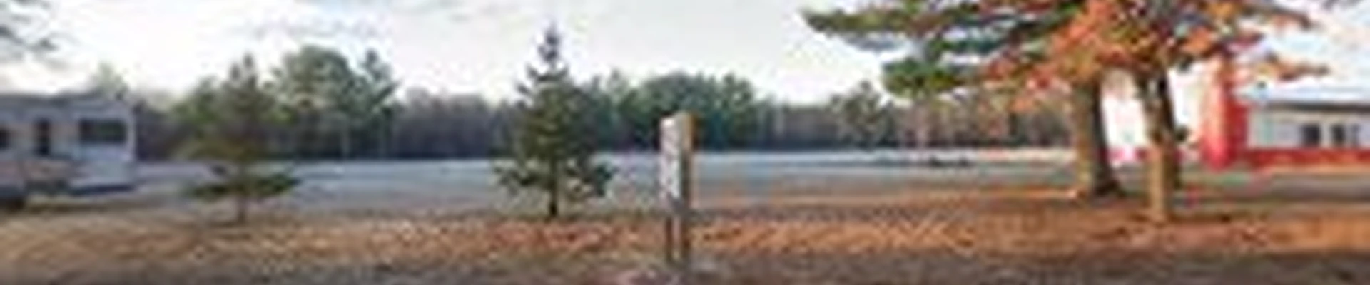 Pro Cut Tree Service & Land Clearing LLC