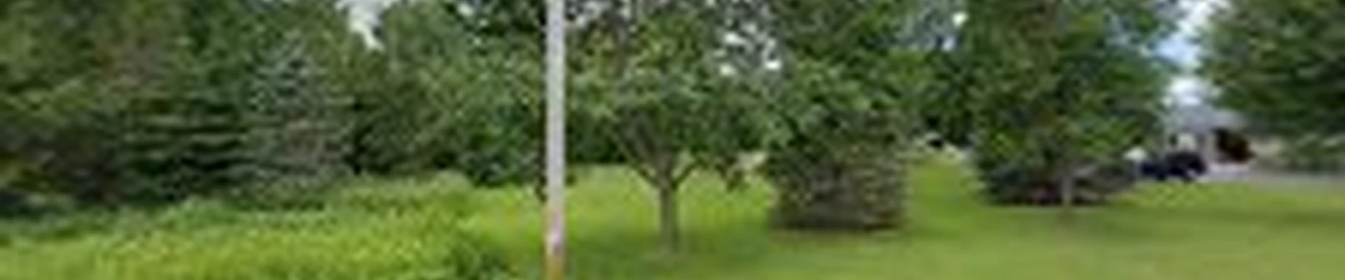 Kwik Shade Tree Service