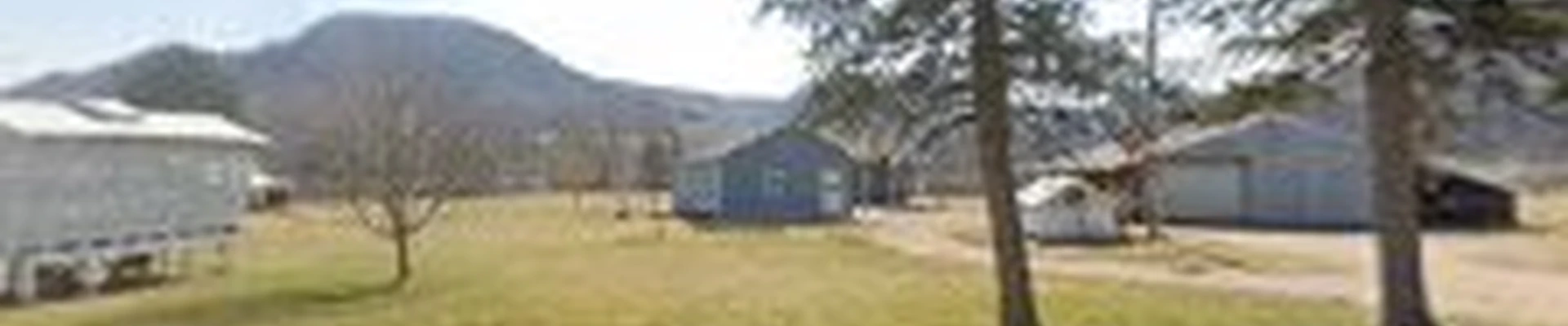 B & B Tree Service, LLC