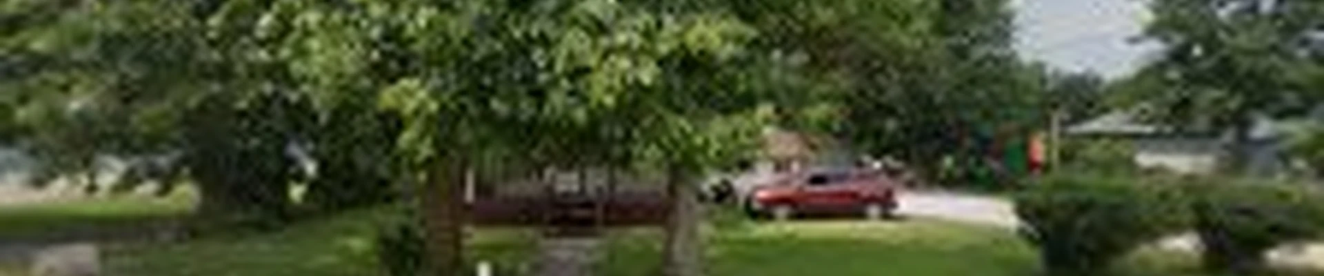 WILL’S RST Tree service/Snow removal