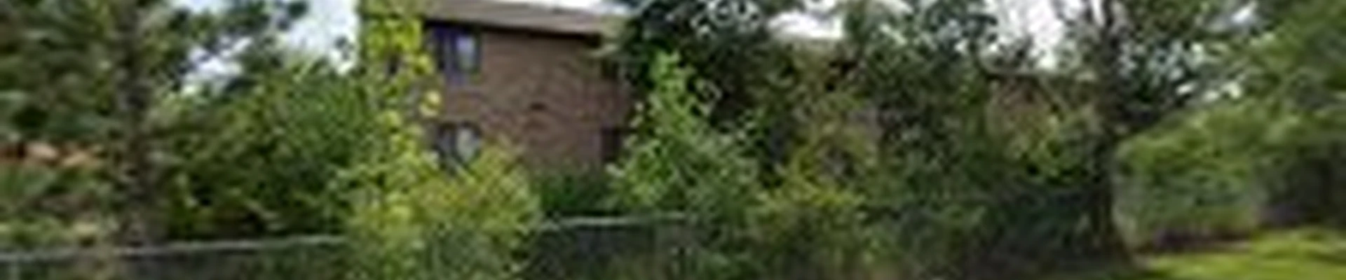 Green Bay Tree Service