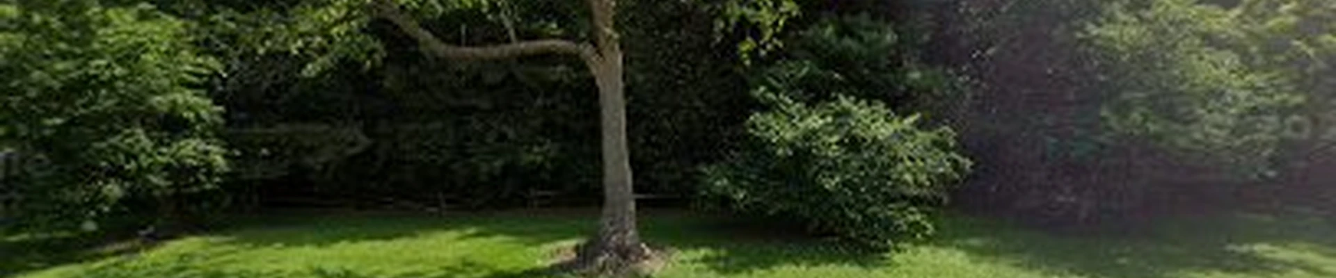 Allen Tree Service Inc