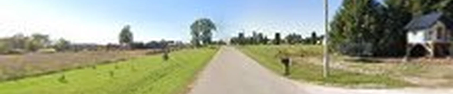 New London Tree Services