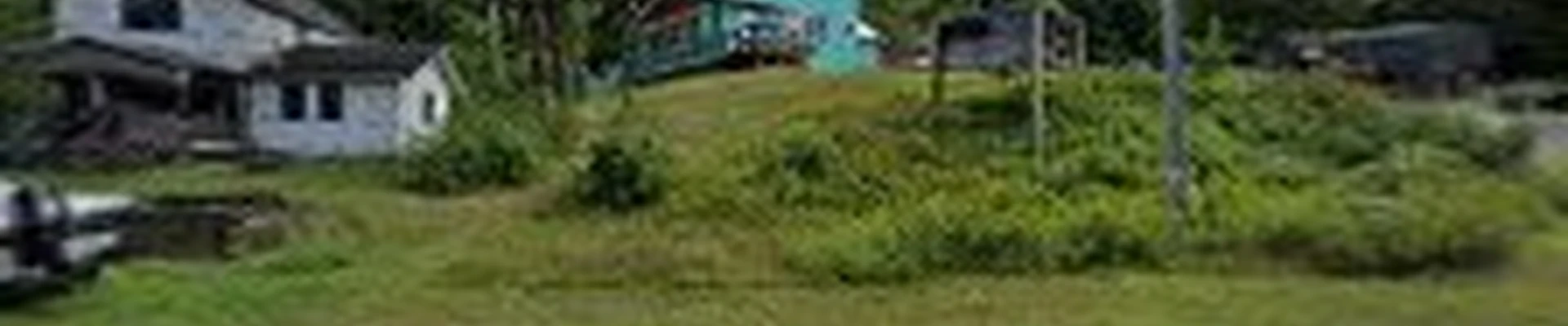 Hafer Tree Works