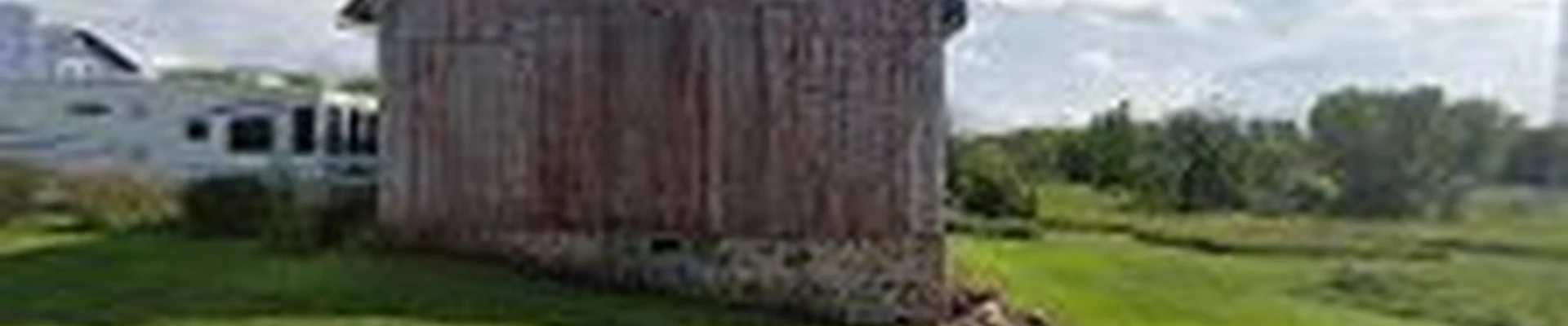 Dorn's Treescaping