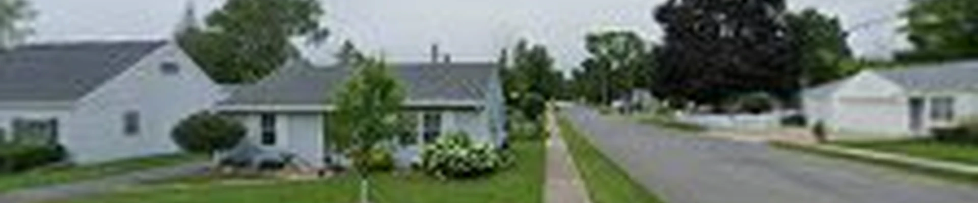 Top Notch Lawn and Maintenance