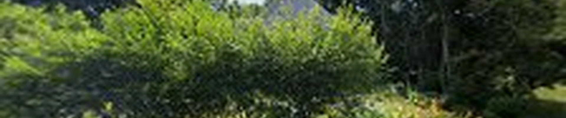 Fresh Start Landscape
