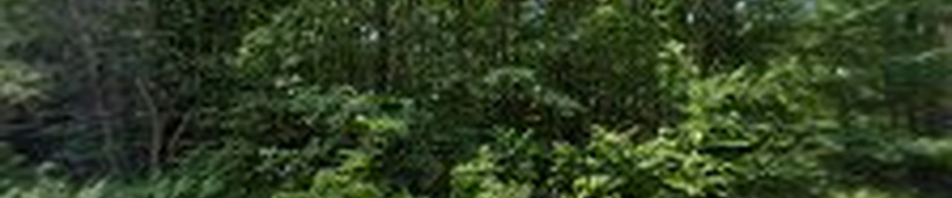 RD Outdoor Landscape Services