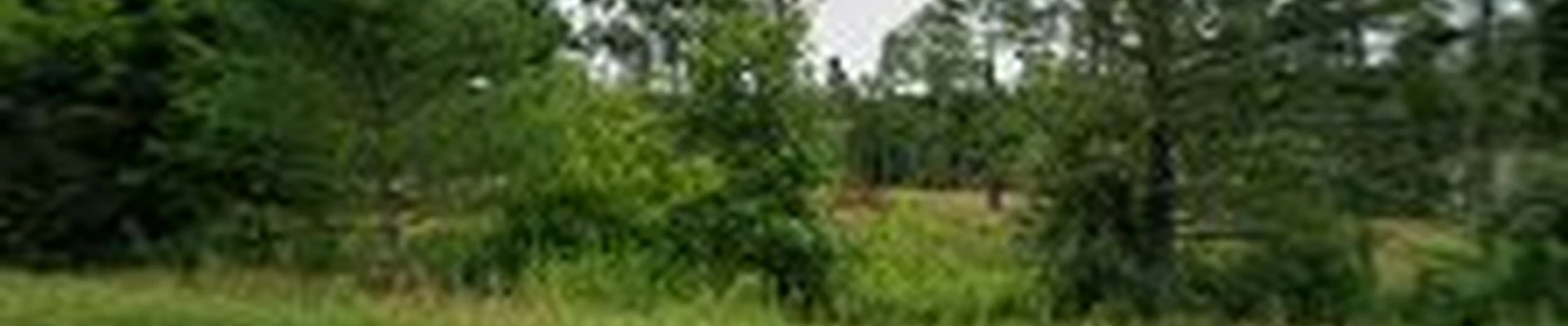 Evergreen Yard Care Inc