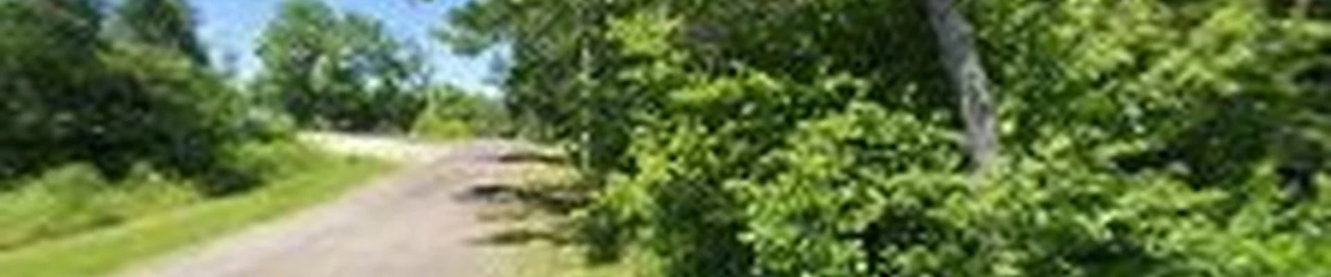 Carrier Lawn and Landscape LLC