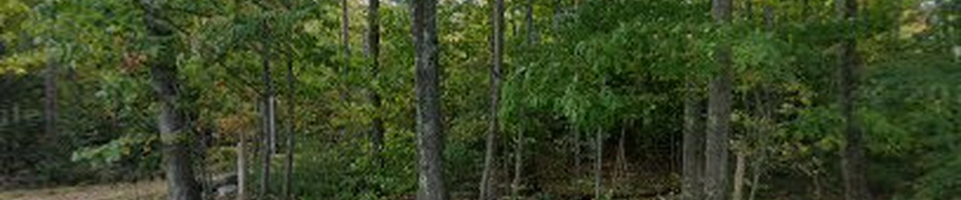 Pinnacle Landscape & Design
