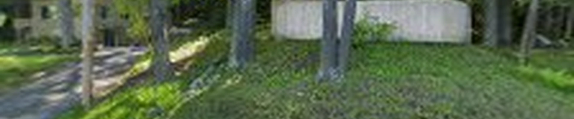 Green Squirrel Landscaping LLC.
