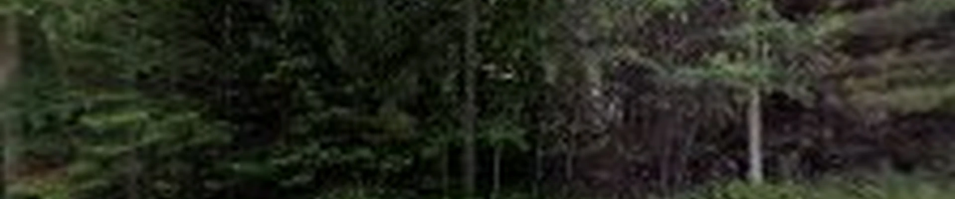 S.P LANDSCAPING LLC