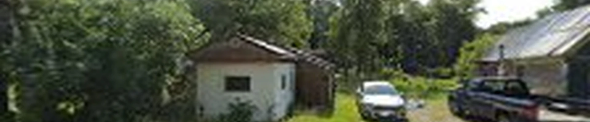 Fine line lawn care