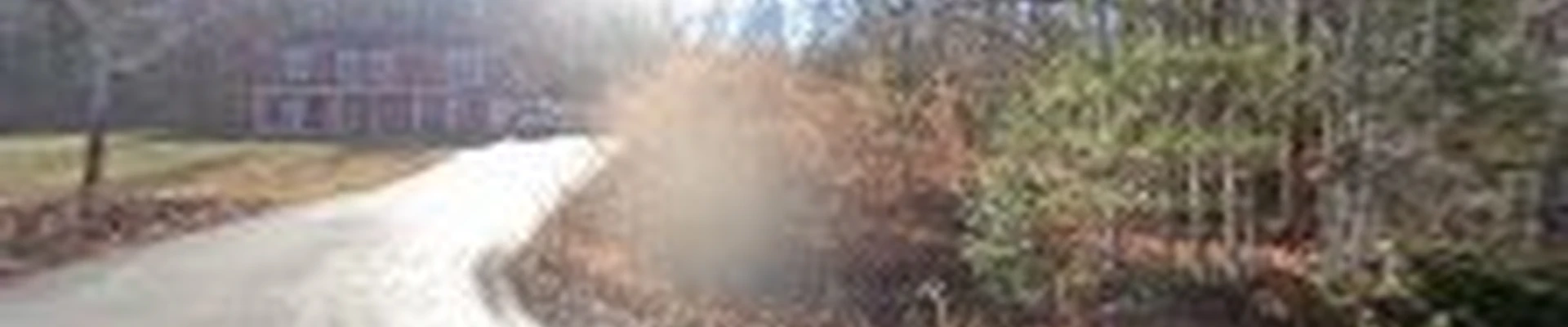 Knotty Arborists LLC