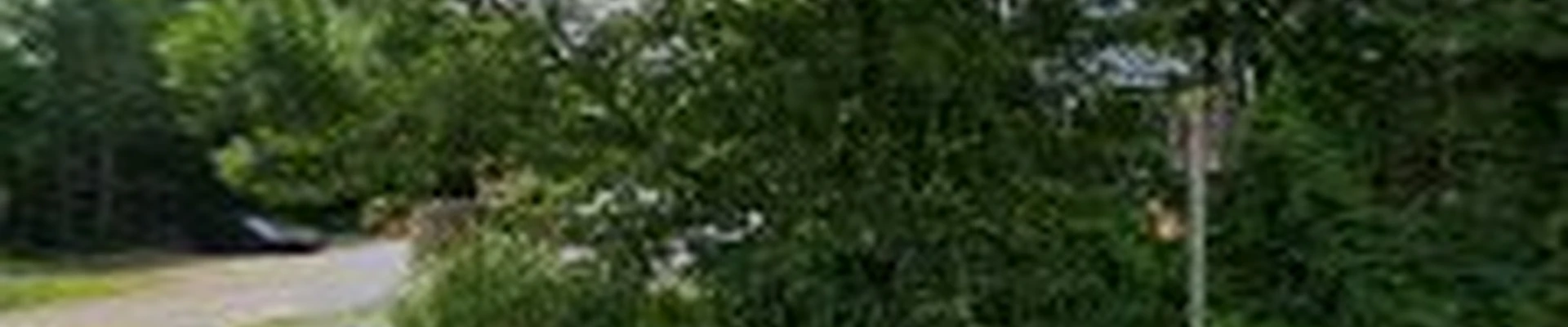 Bergeron Tree Experts