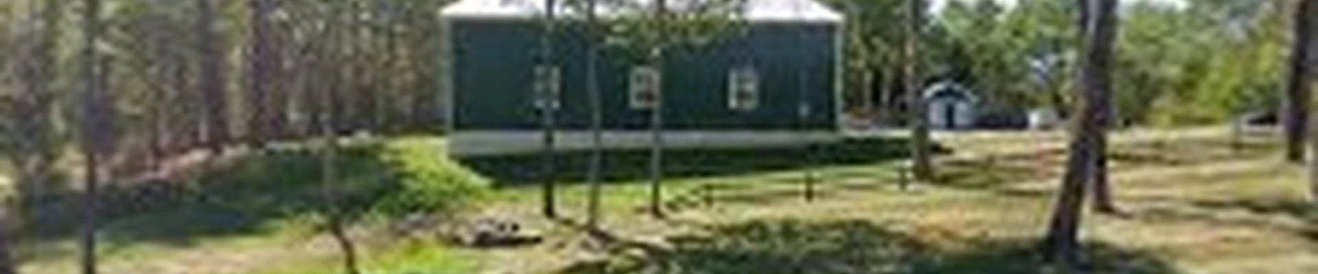 Pinnacle Tree Professional Arborists