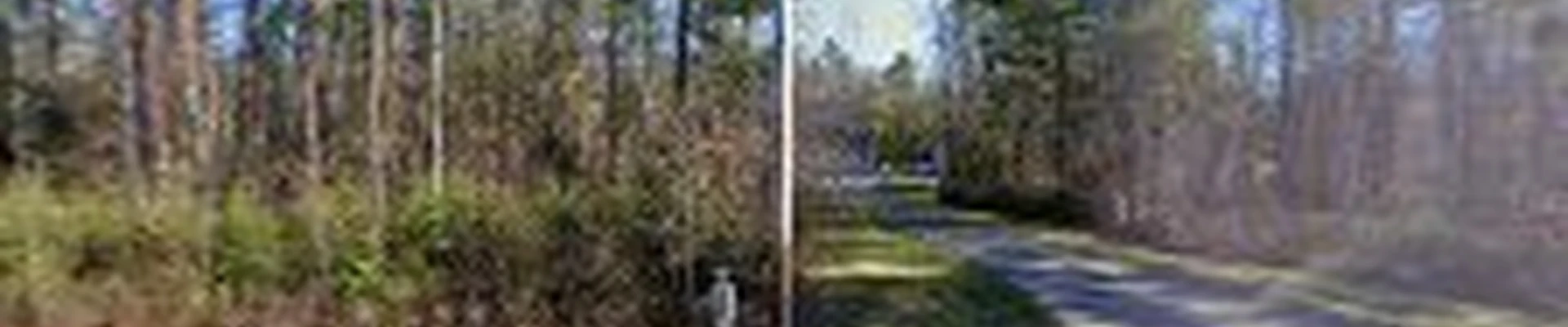 Saldana Tree Services