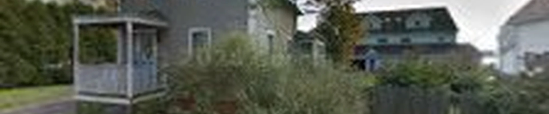 Blue Ox Tree Service