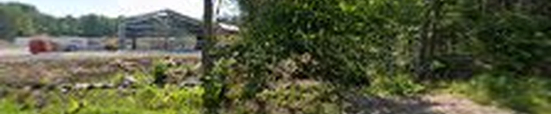 Webster Tree Service