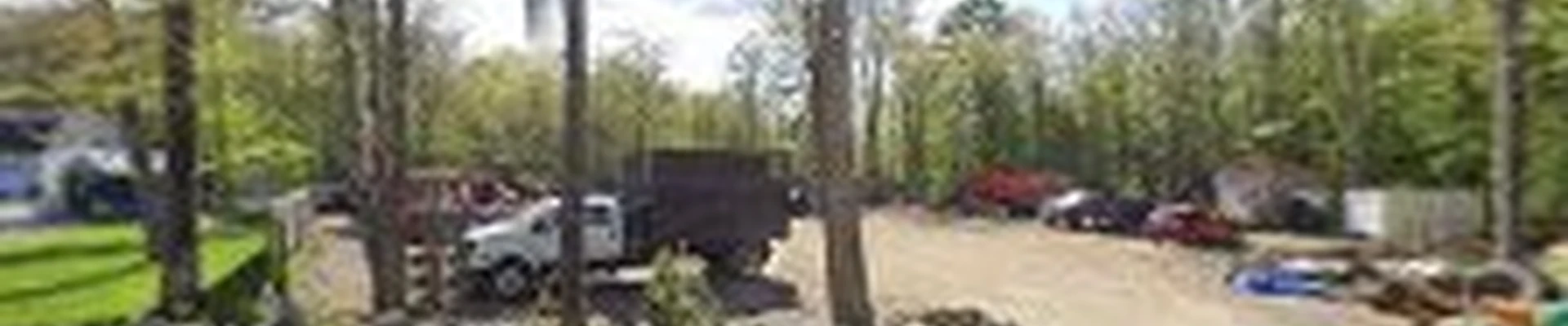 ALL SEASONS TREE SERVICE LLC