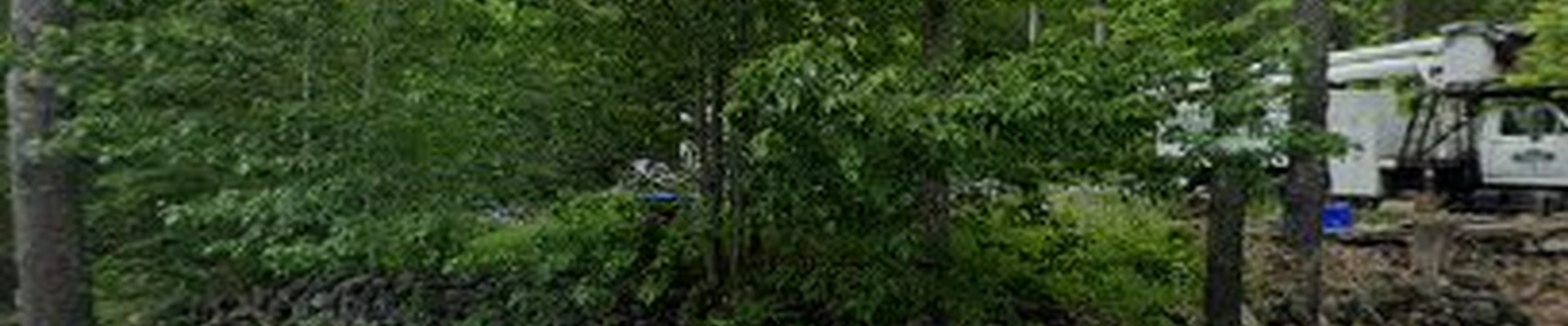 A-1 Waterman's Tree Services