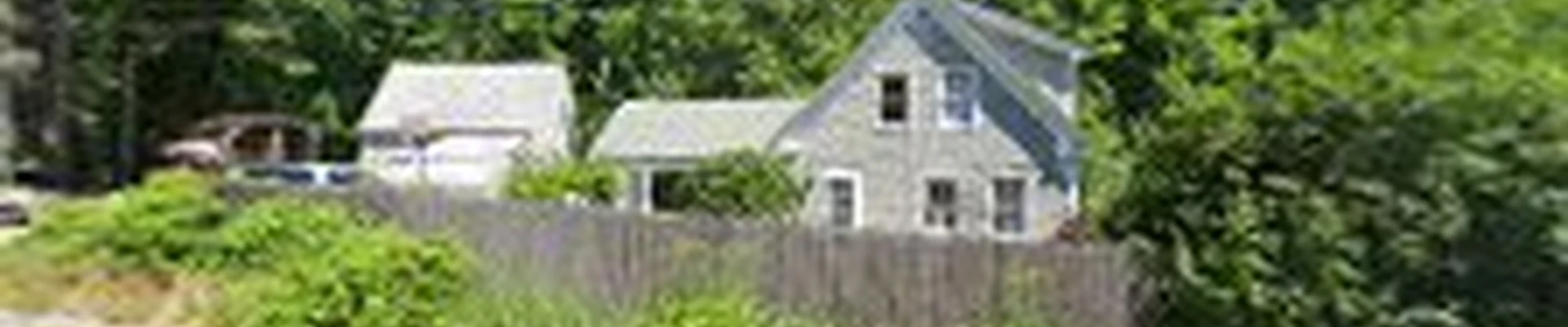 Canopy Tree Care