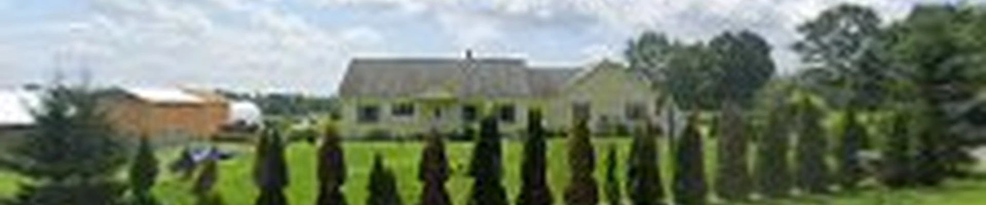 Bluewater Tree Service