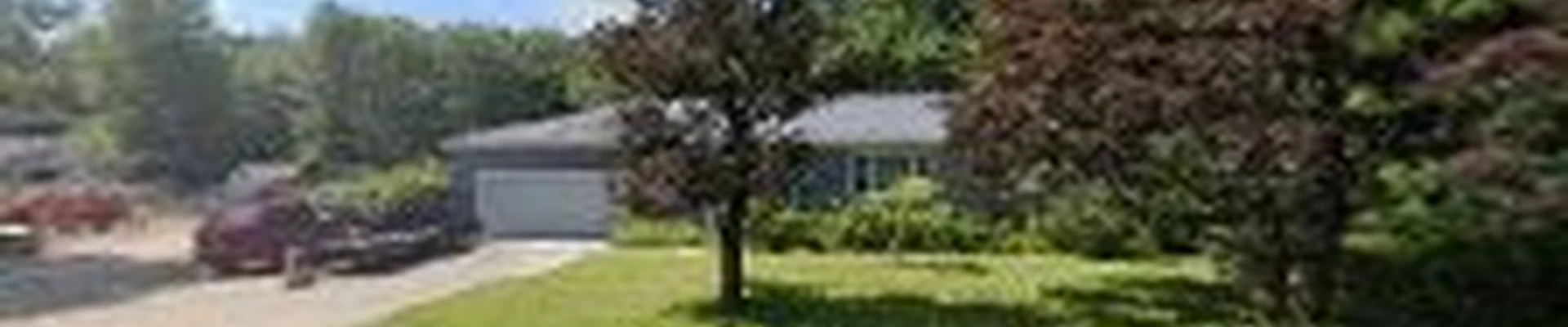 Driscoll Tree Service