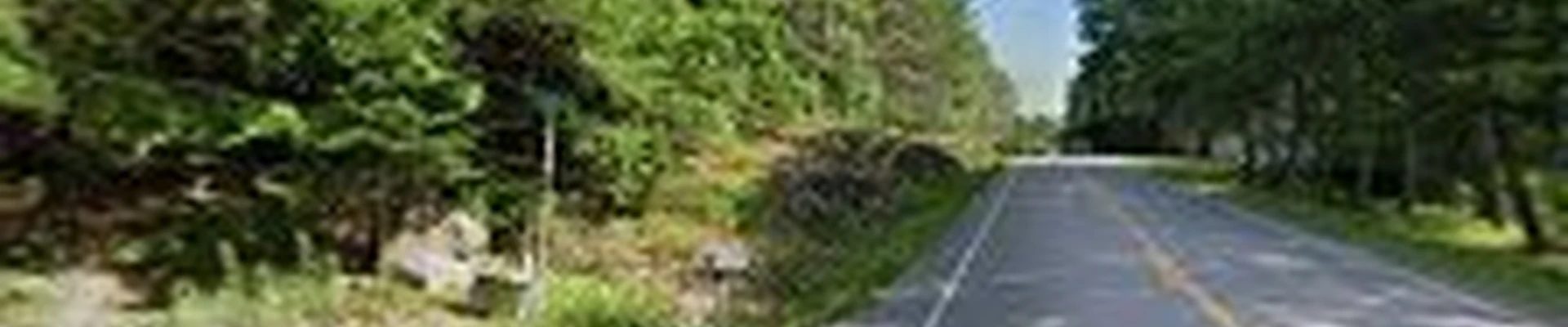 Lee's Tree Services