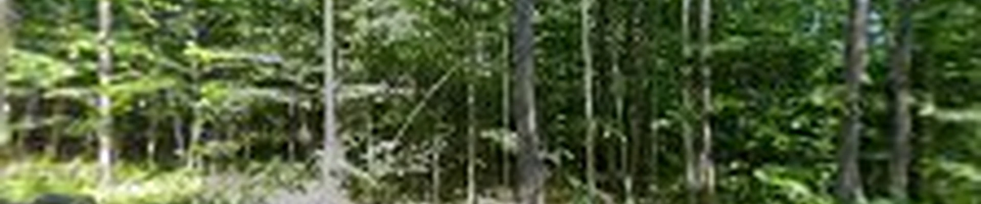 Doherty Electric LLC