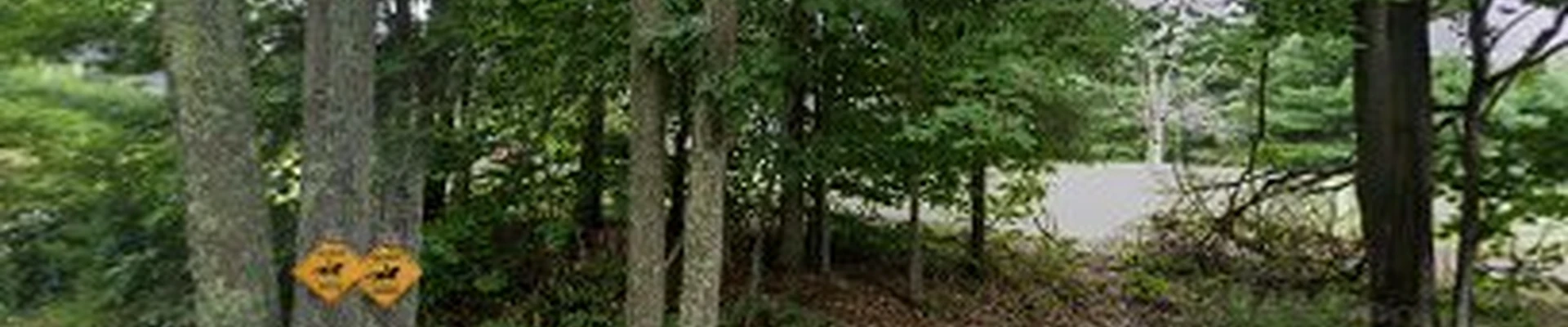 D Brown & Son Plumbing & Htg LLC