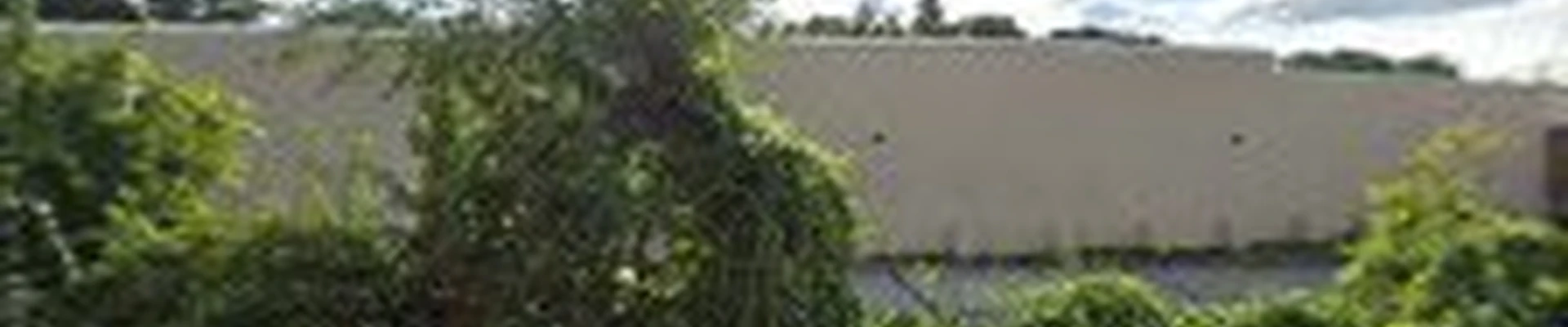 Milestone Construction, LLC