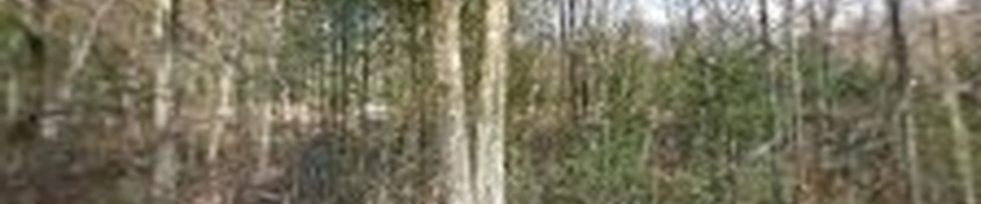 Whitcomb Excavation & Property Maintenance LLC.