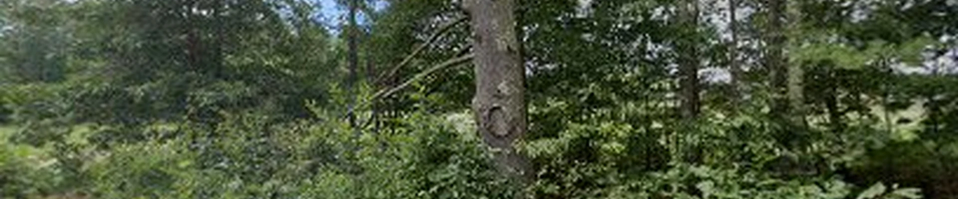 Winnepocket Landscaping