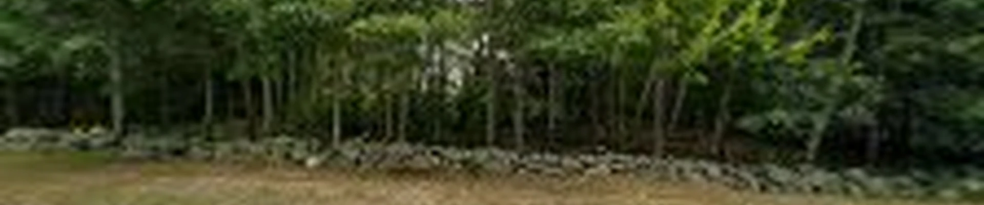 Rye Landscaping